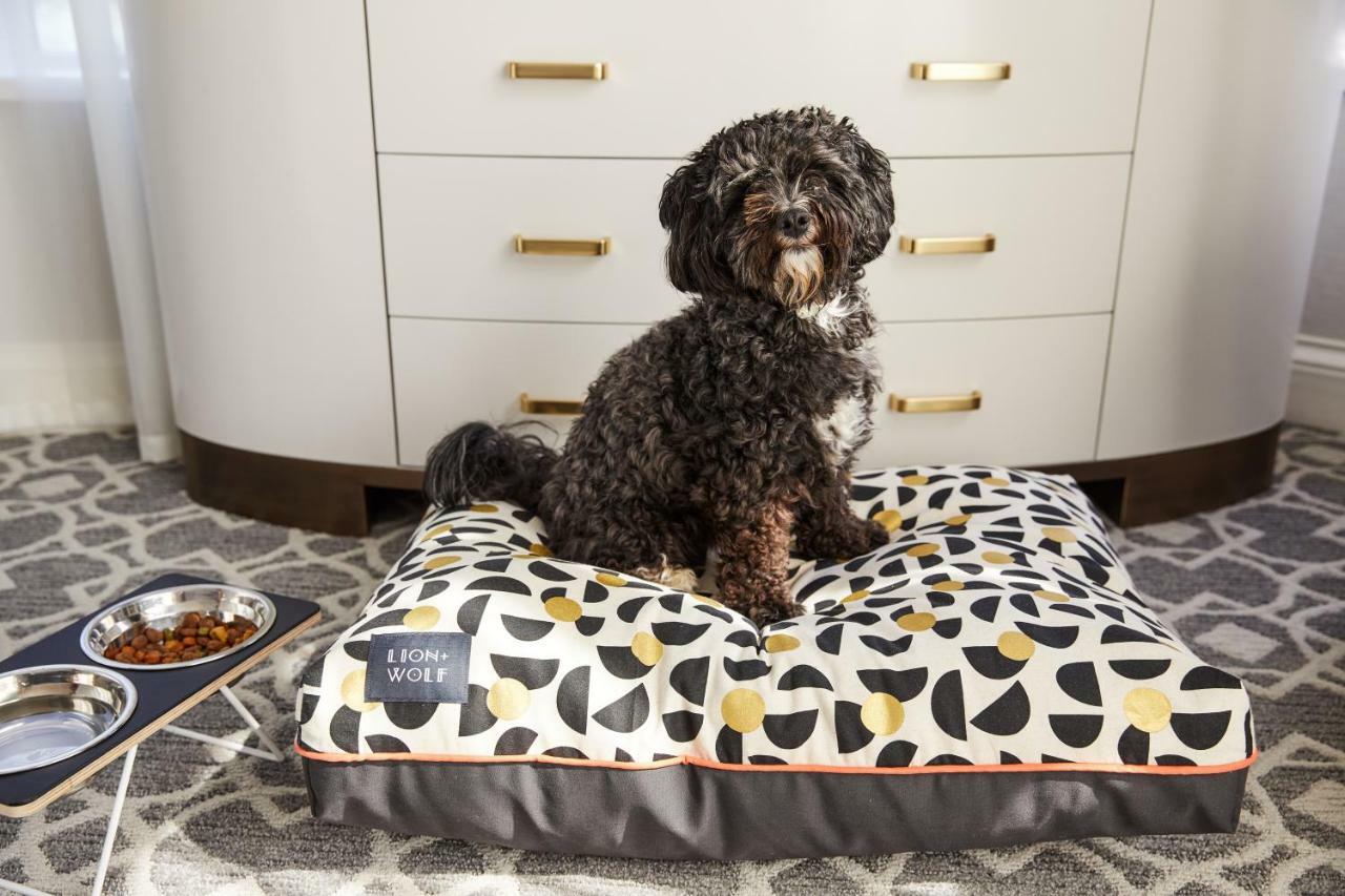 The Whitney Hotel Boston Exterior foto A dog on a dog bed